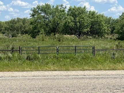 Undeveloped Land for sale in Young County, Texas