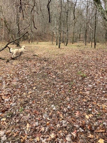 Recreational Property for sale in Braxton County, West Virginia