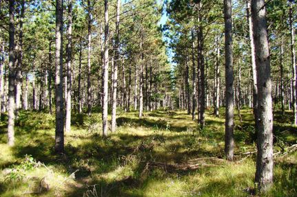 Ranch Property for sale in Adams County, Wisconsin