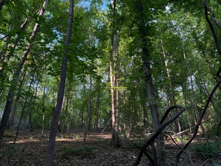 Farm Property for sale in Holmes County, Mississippi