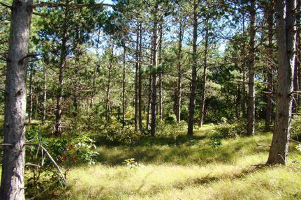 Ranch Property for sale in Adams County, Wisconsin