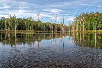 Ranch Property for sale in Panola County, Texas
