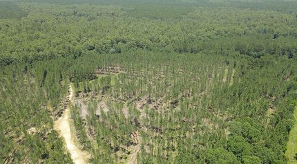 Farm Property for sale in Jones County, Mississippi
