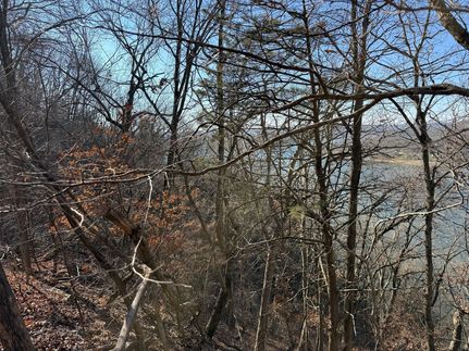 Farm Property for sale in Camden County, Missouri