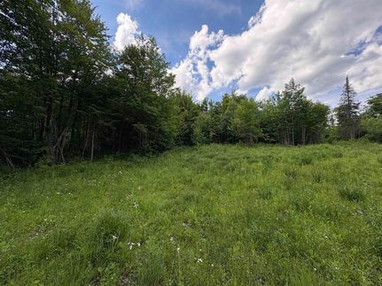 Farm Property for sale in Caledonia County, Vermont