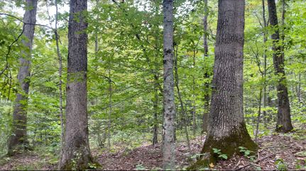 Ranch Property for sale in Athens County, Ohio