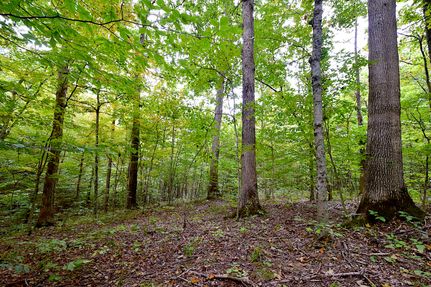 Recreational Property for sale in Athens County, Ohio