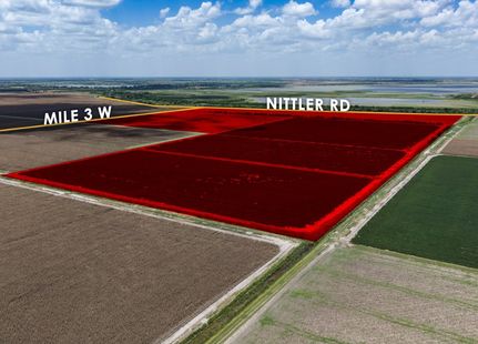 Timberland Property for sale in Hidalgo County, Texas