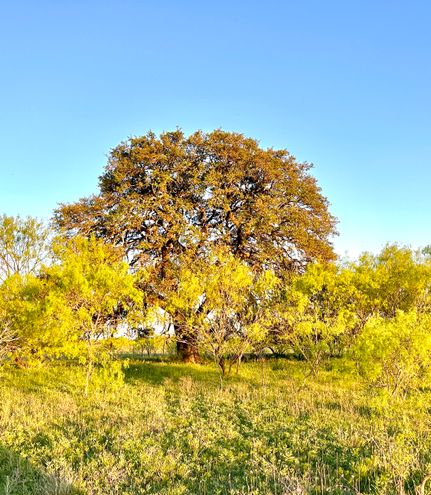 Farm Property for sale in Mills County, Texas