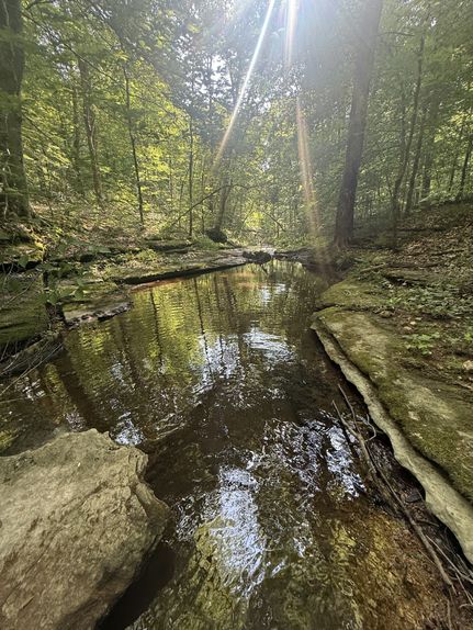 Farm Property for sale in Wayne County, Tennessee