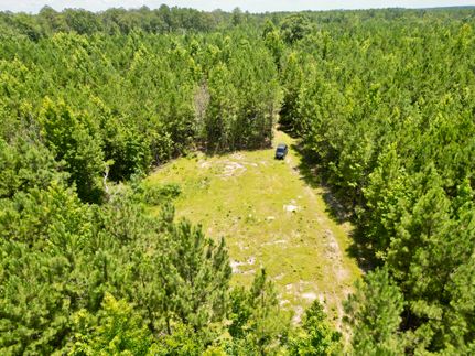 Farm Property for sale in Conecuh County, Alabama