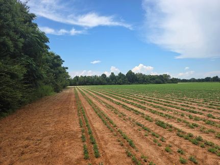 Farm Property for sale in Jackson County, Florida