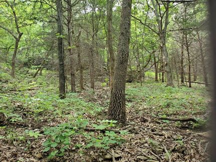 Ranch Property for sale in Chautauqua County, Kansas