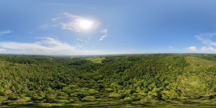 Hunting Land for sale in Cocke County, Tennessee