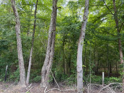 Farm Property for sale in McNairy County, Tennessee