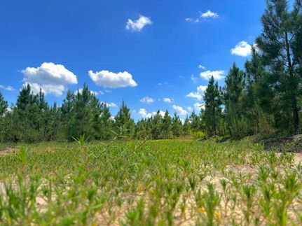 Ranch Property for sale in Jeff Davis County, Georgia