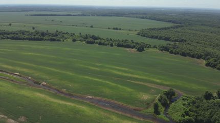 Farm Property for sale in Concordia Parish, Louisiana