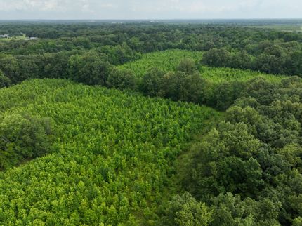 Farm Property for sale in McCracken County, Kentucky
