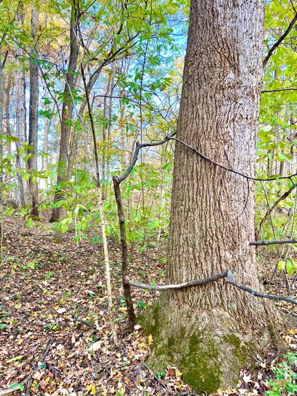Recreational Property for sale in Clermont County, Ohio