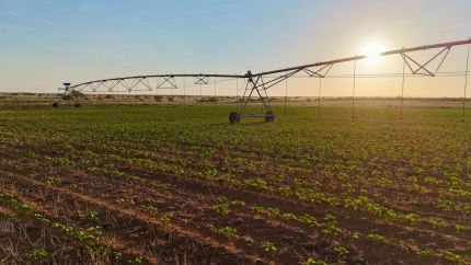 Farm Property for sale in Gaines County, Texas