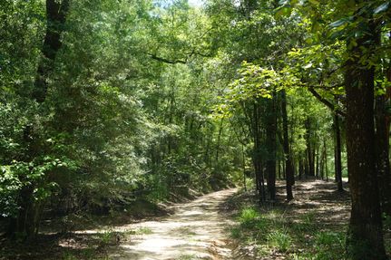 Farm Property for sale in Covington County, Alabama