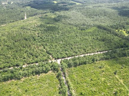 Farm Property for sale in Washington County, Florida