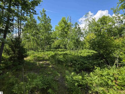 Farm Property for sale in Wexford County, Michigan