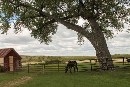 Farm Property for sale in Laramie County, Wyoming