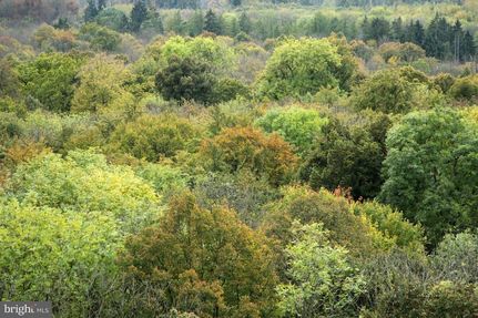 Timberland Property for sale in Frederick County, Maryland