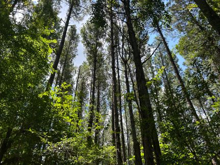 Ranch Property for sale in Lauderdale County, Mississippi