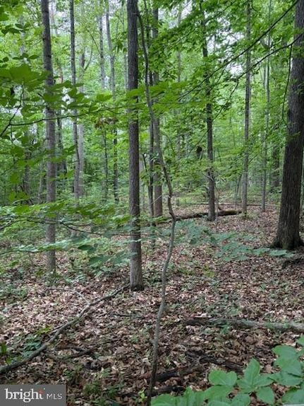 Timberland Property for sale in Spotsylvania County, Virginia
