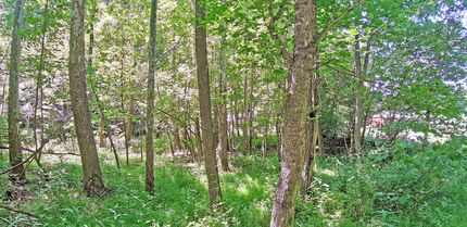Farm Property for sale in Gilmer County, West Virginia