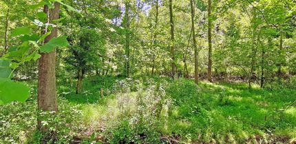 Ranch Property for sale in Gilmer County, West Virginia