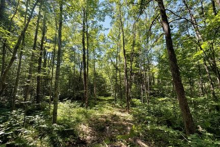 Ranch Property for sale in Washburn County, Wisconsin