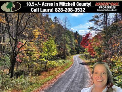 Ranch Property for sale in Mitchell County, North Carolina