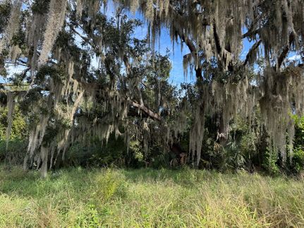 Farm Property for sale in Hardee County, Florida
