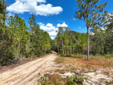 Farm Property for sale in Telfair County, Georgia