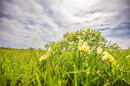 Farm Property for sale in Franklin County, Kansas