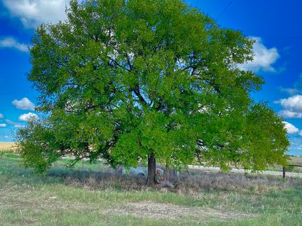 Farm Property for sale in Williamson County, Texas