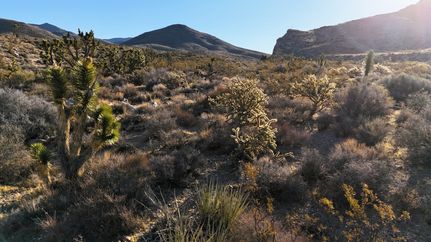 Timberland Property for sale in Washington County, Utah
