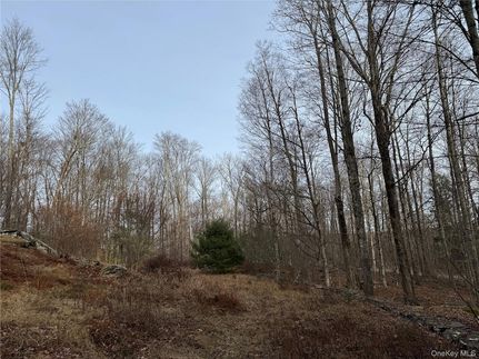 Ranch Property for sale in Sullivan County, New York