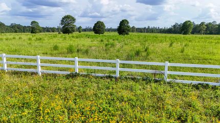 Farm Property for sale in Tyler County, Texas