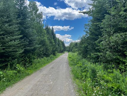 Timberland Property for sale in Aroostook County, Maine