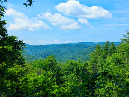 Farm Property for sale in Windham County, Vermont