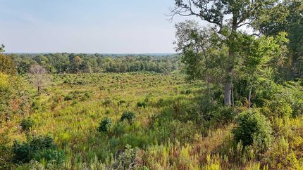 Timberland Property for sale in Angelina County, Texas