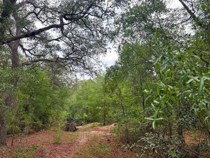 Residential Property for sale in Pierce County, Georgia