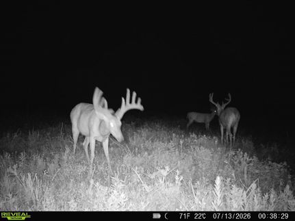 Ranch Property for sale in Bourbon County, Kansas