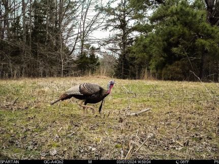 Farm Property for sale in Fayette County, Tennessee