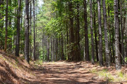 Ranch Property for sale in Franklin County, Alabama