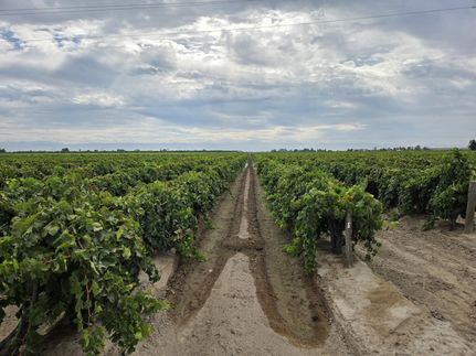 Farm Property for sale in Fresno County, California